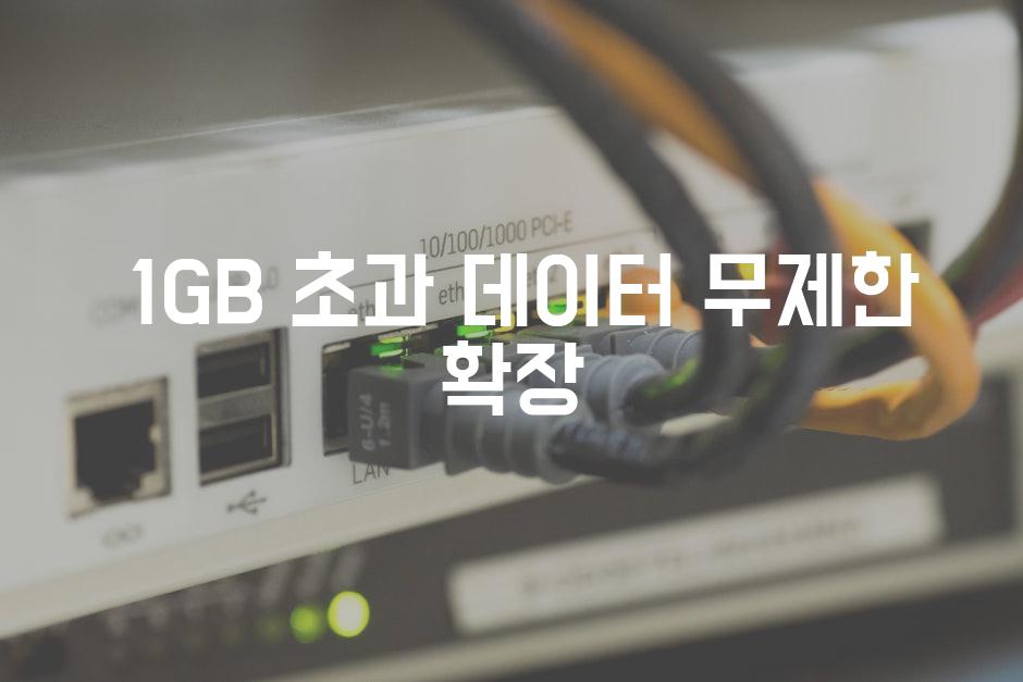  1GB 초과 데이터 무제한 확장