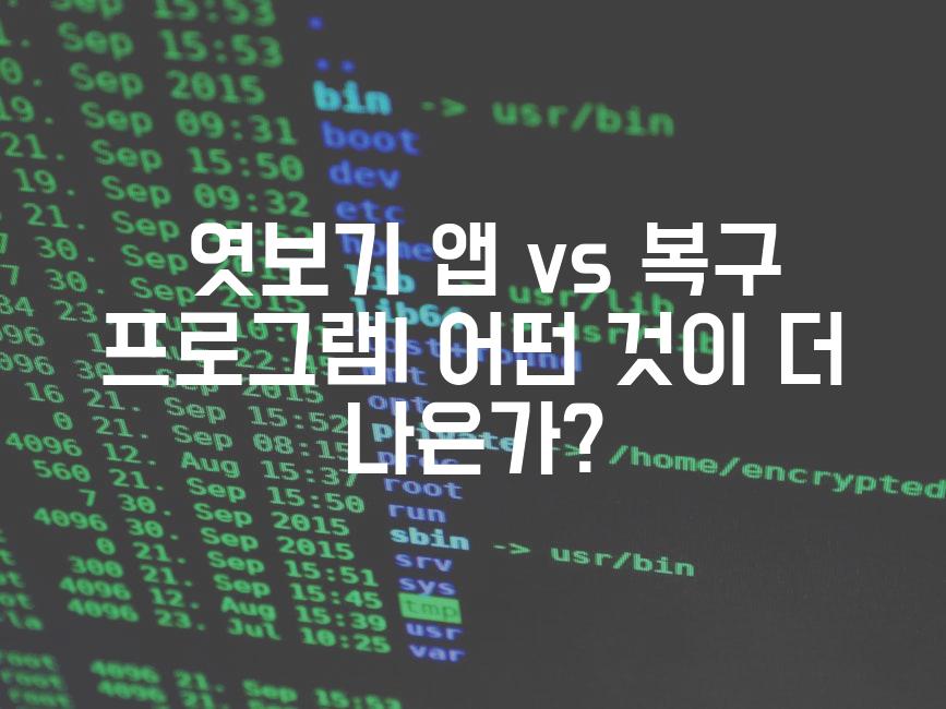  엿보기 앱 vs 복구 프로그램| 어떤 것이 더 나은가?