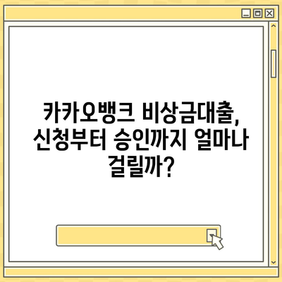 카카오뱅크 비상금대출