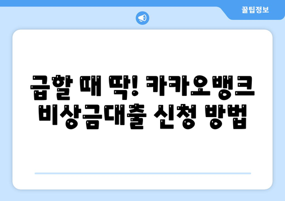 카카오뱅크 비상금대출 신청