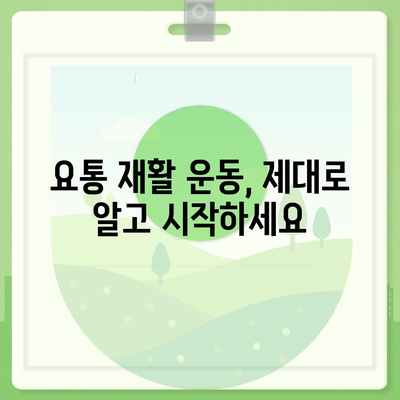 허리디스크 완화 운동 루틴 | 집에서 할 수 있는 효과적인 5가지 동작 | 허리 통증, 요통, 재활 운동, 스트레칭