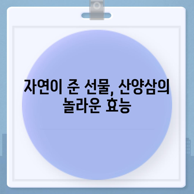 산양삼의 놀라운 효능 7가지 | 건강, 면역력, 항암 효과,  장수,  자연산 산삼, 건강 식품