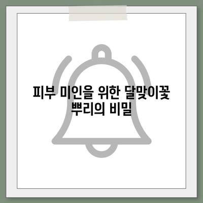 달맞이꽃 뿌리의 놀라운 효능 7가지 | 건강, 피부, 여성 건강, 부작용, 복용법