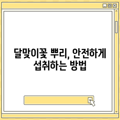 달맞이꽃 뿌리의 놀라운 효능 7가지 | 건강, 피부, 여성 건강, 부작용, 복용법