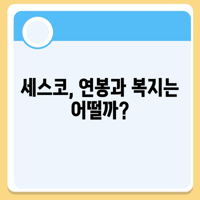 세스코 근무 후기| 솔직한 경험과 꿀팁 대방출 | 세스코, 직원 후기, 면접, 연봉, 복지, 워라밸