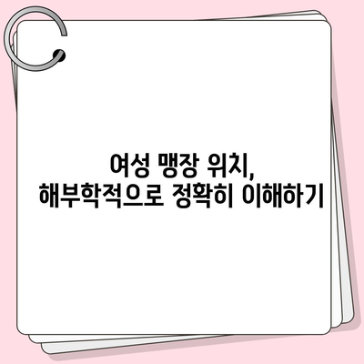 여성 맹장 위치| 그림과 설명으로 자세히 알아보기 | 맹장, 여성, 위치, 해부학, 건강