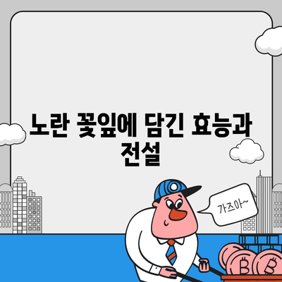 달맞이꽃의 매력에 빠지다|  효능, 재배, 전설까지 | 야생화, 약초, 꽃말,  달맞이꽃 기르기