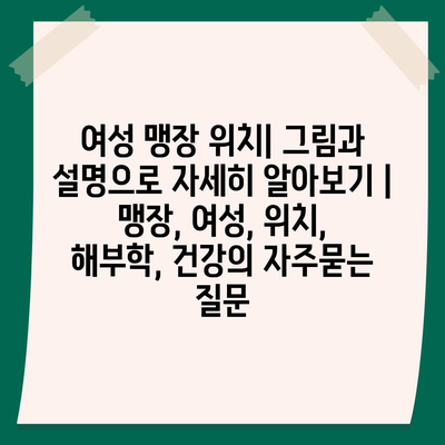 여성 맹장 위치| 그림과 설명으로 자세히 알아보기 | 맹장, 여성, 위치, 해부학, 건강