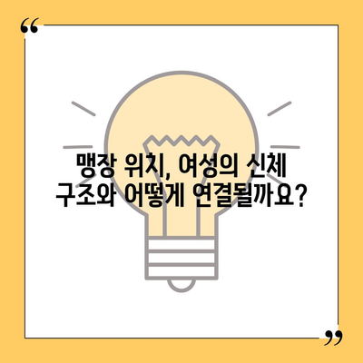 여성 맹장 위치| 그림과 설명으로 자세히 알아보기 | 맹장, 여성, 위치, 해부학, 건강