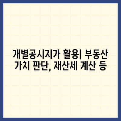 개별공시지가 조회| 지역별, 토지별 상세 정보 확인 | 부동산, 토지 가격, 조회 방법, 토지 정보