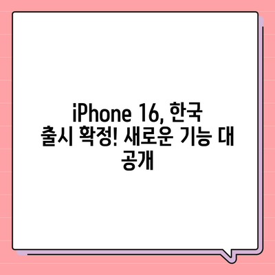 iPhone 16 한국 1차 출시국 확정, Pro 가격 인상, 디스플레이 확대