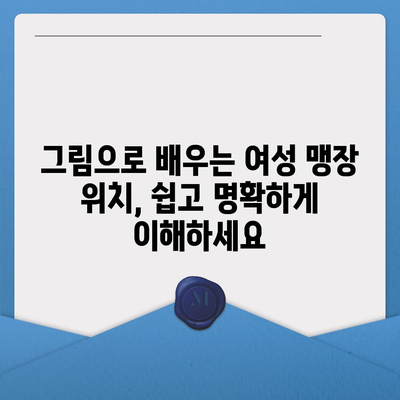 여성 맹장 위치| 그림과 설명으로 자세히 알아보기 | 맹장, 여성, 위치, 해부학, 건강