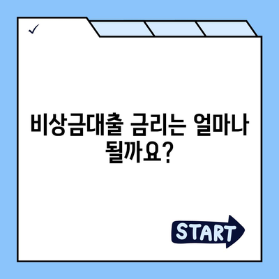 카카오뱅크 비상금대출 조건 완벽 가이드 | 대출 자격, 한도, 금리, 필요 서류 꼼꼼히 알아보기