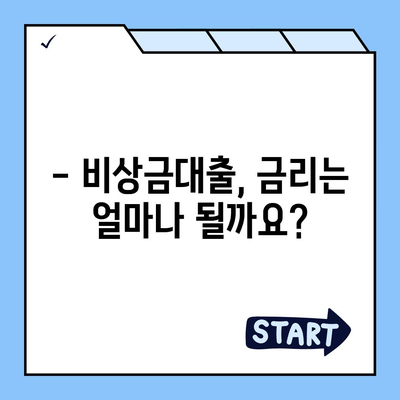 카카오뱅크 비상금대출 상환 완벽 가이드 | 상환 방법, 기간, 금리, 주의사항, 성공 전략