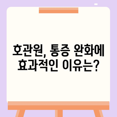 호관원의 주요 성분과 효능 | 한약, 건강, 관절 건강, 통증 완화