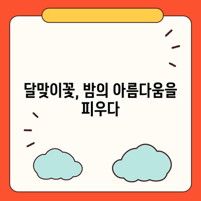 달맞이꽃의 매력에 빠지다|  효능, 재배, 전설까지 | 야생화, 약초, 꽃말,  달맞이꽃 기르기