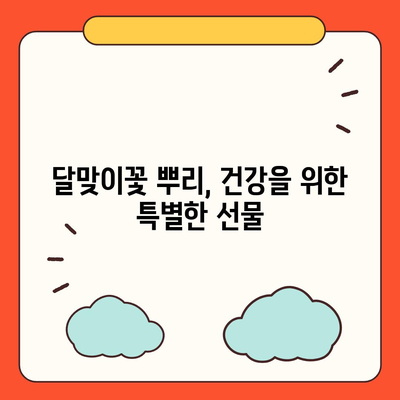 달맞이꽃 뿌리의 놀라운 효능 7가지 | 건강, 피부, 여성 건강, 부작용, 복용법