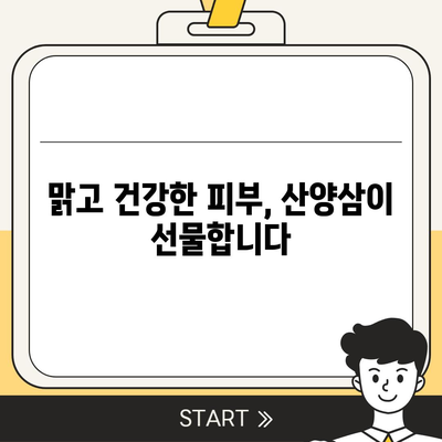 산양삼 효능 완벽 가이드| 건강, 면역, 피부까지 | 산양삼 효능, 산양삼 효과, 산양삼 장점, 산양삼 부작용