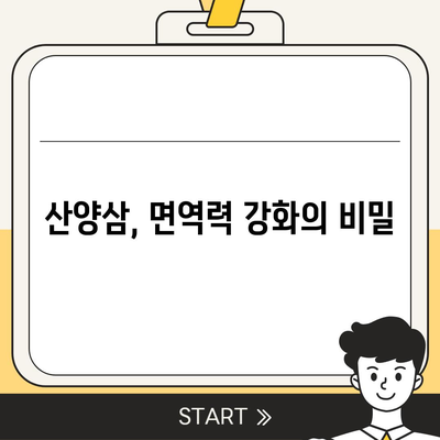 산양삼 효능| 건강과 활력을 위한 7가지 놀라운 이점 | 산양삼, 건강, 효능, 면역력, 항산화