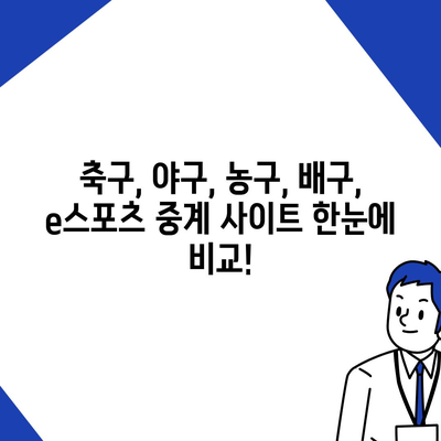 실시간 스포츠 중계 사이트 추천 | 축구, 야구, 농구, 배구, e스포츠 중계