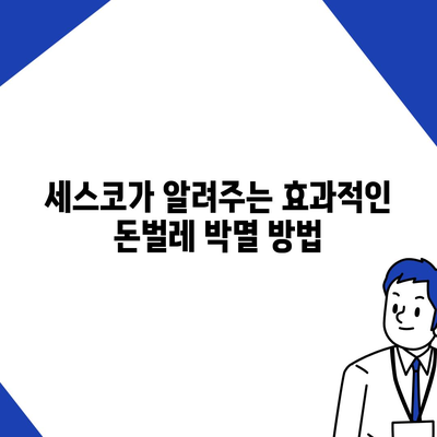 세스코 돈벌레 박멸 가이드| 종류별 특징과 효과적인 방제 방법 | 돈벌레, 퇴치, 해충, 천연, 팁