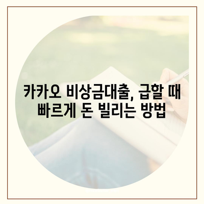 카카오 비상금대출, 급할 때 빌려쓰는 똑똑한 방법 | 비상금, 소액대출, 빠른 승인, 금리 비교