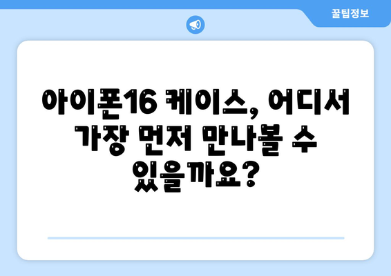 아이폰16 케이스 1차 출시국 및 사전예약 선행 주문