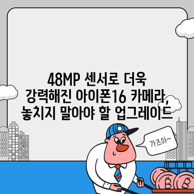 아이폰16 카메라 | 새로운 48MP 센서로 해상도 향상