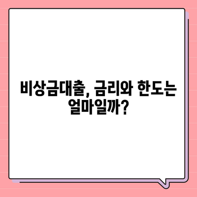 카카오뱅크 비상금대출 후기| 실제 이용자의 솔직한 경험과 꿀팁 공유 | 대출 후기, 금융 팁, 카카오뱅크"