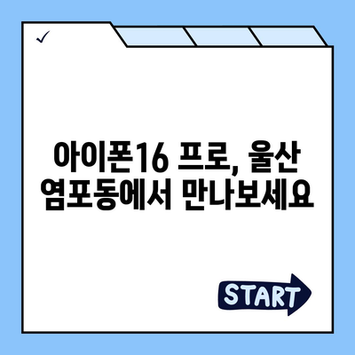 울산시 북구 염포동 아이폰16 프로 사전예약 | 출시일 | 가격 | PRO | SE1 | 디자인 | 프로맥스 | 색상 | 미니 | 개통