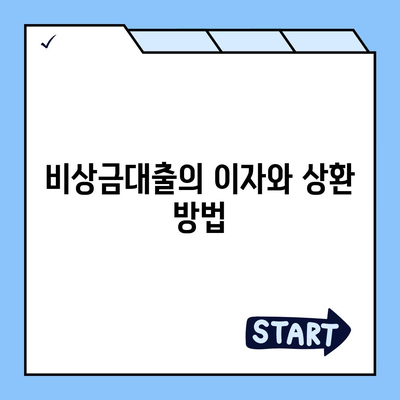 카카오뱅크 비상금대출 애자 알아보기| 빠르고 간편한 대출 절차와 혜택 | 카카오뱅크, 비상금대출, 금융서비스