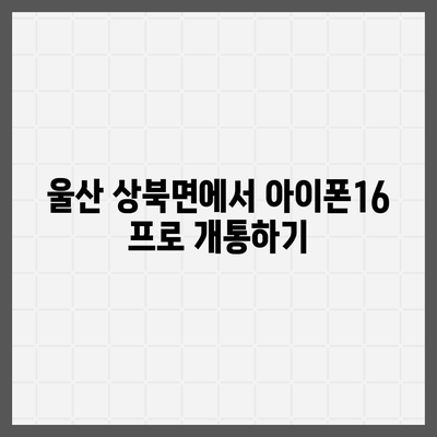 울산시 울주군 상북면 아이폰16 프로 사전예약 | 출시일 | 가격 | PRO | SE1 | 디자인 | 프로맥스 | 색상 | 미니 | 개통