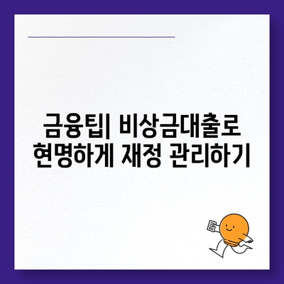 카카오뱅크 비상금대출 방법| 쉽게 이해하는 단계별 가이드 | 비상금대출, 금융팁, 카카오뱅크"