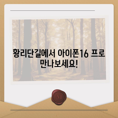 경상북도 경주시 황리단길 아이폰16 프로 사전예약 | 출시일 | 가격 | PRO | SE1 | 디자인 | 프로맥스 | 색상 | 미니 | 개통