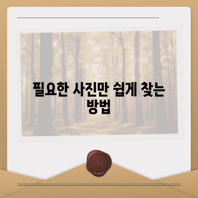 카카오톡 사진을 쉽게 저장하고 관리하는 5가지 방법 | 카카오톡, 사진 저장, 관리 팁