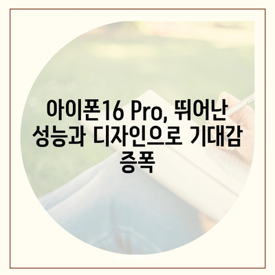 아이폰16 한국 1차 출시국의 확정과 Pro 가격 및 디스플레이 정보