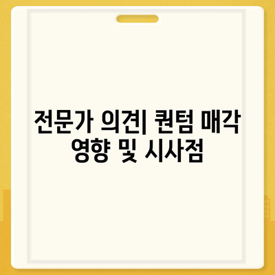 카카오 골프 퀀텀의 매각 이슈와 대응 방안| 전문가들의 전략과 우선순위 분석 | 카카오, 골프 산업, M&A"