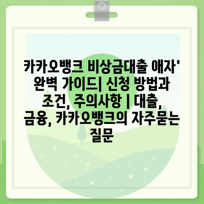 카카오뱅크 비상금대출 애자