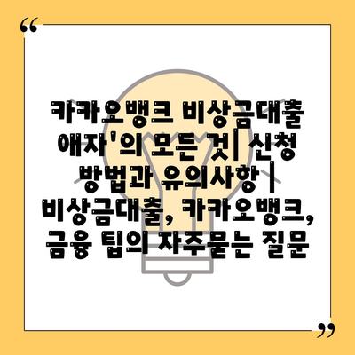 카카오뱅크 비상금대출 애자