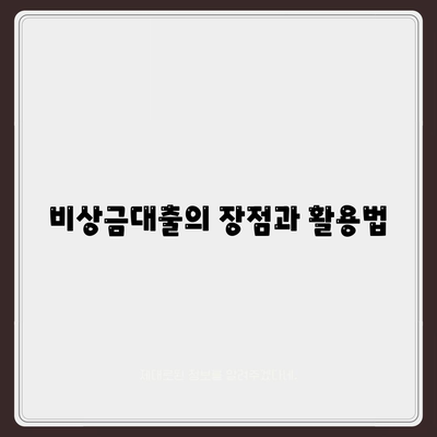 카카오뱅크 PC버전 비상금대출 신청 방법 | 비상금대출, PC버전, 카카오뱅크 안내