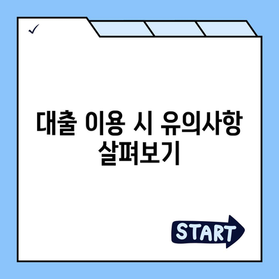 카카오뱅크 비상금대출 애자