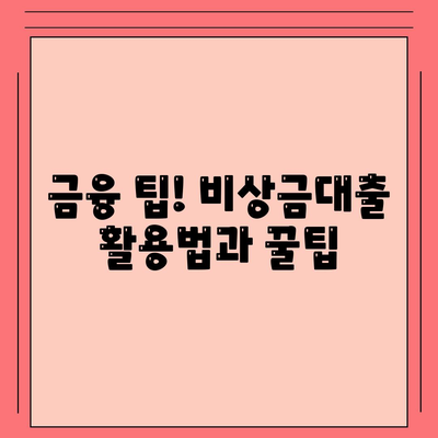 카카오뱅크 비상금대출 애자