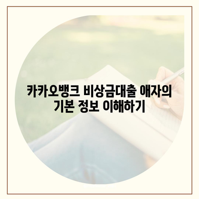 카카오뱅크 비상금대출 애자