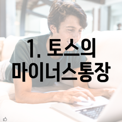 1. 토스의 마이너스통장