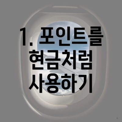 1. 포인트를 현금처럼 사용하기