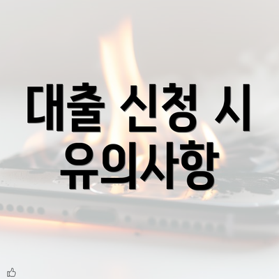 대출 신청 시 유의사항