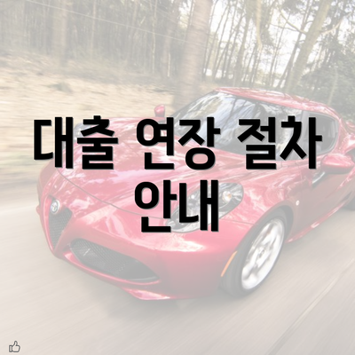 대출 연장 절차 안내