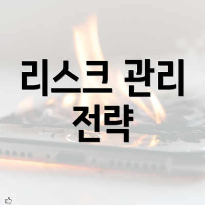 리스크 관리 전략