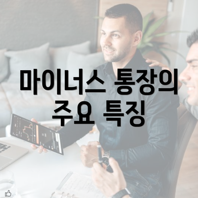 마이너스 통장의 주요 특징