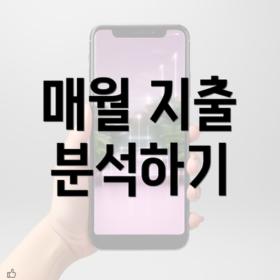 매월 지출 분석하기